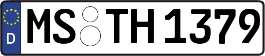 MS-TH1379