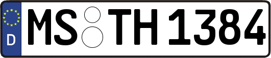 MS-TH1384