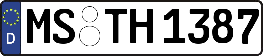 MS-TH1387