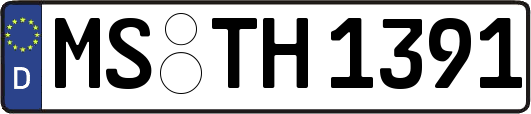 MS-TH1391