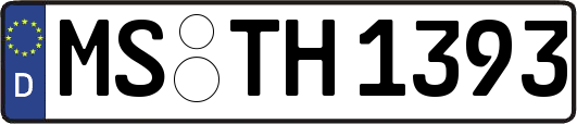 MS-TH1393