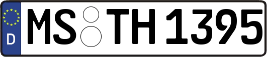 MS-TH1395