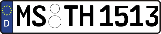 MS-TH1513