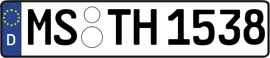 MS-TH1538