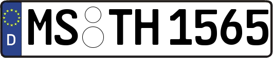 MS-TH1565