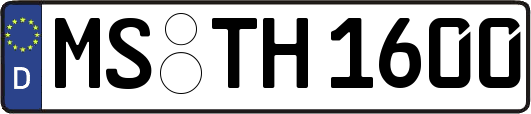 MS-TH1600