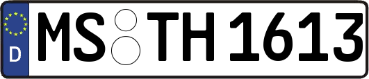 MS-TH1613