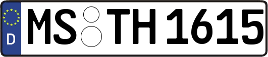 MS-TH1615