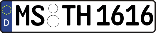MS-TH1616
