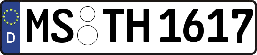 MS-TH1617