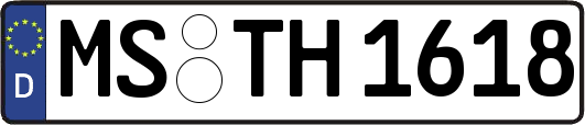 MS-TH1618