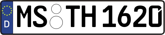 MS-TH1620