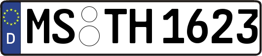 MS-TH1623