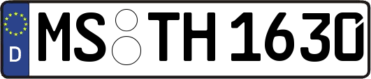MS-TH1630