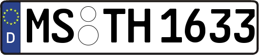 MS-TH1633