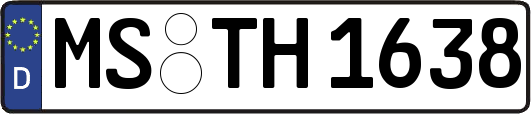 MS-TH1638