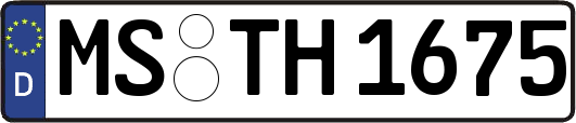 MS-TH1675