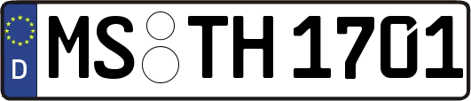 MS-TH1701