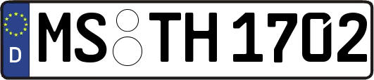 MS-TH1702