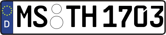 MS-TH1703