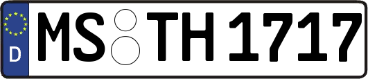 MS-TH1717
