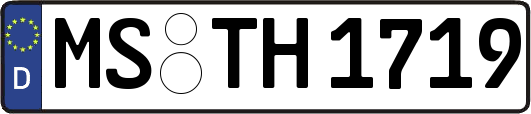 MS-TH1719