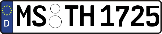 MS-TH1725