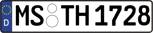 MS-TH1728
