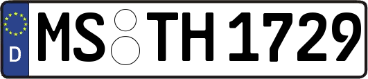 MS-TH1729