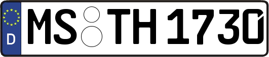 MS-TH1730