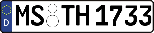 MS-TH1733
