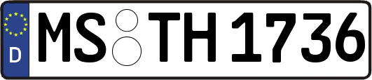 MS-TH1736