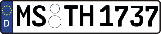 MS-TH1737