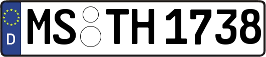 MS-TH1738