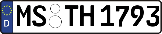 MS-TH1793