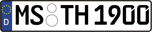 MS-TH1900