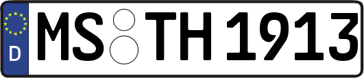MS-TH1913