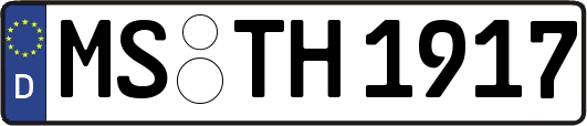 MS-TH1917