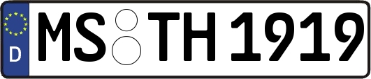 MS-TH1919