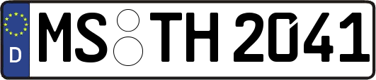 MS-TH2041