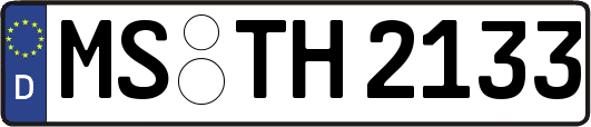 MS-TH2133