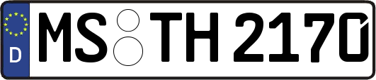MS-TH2170