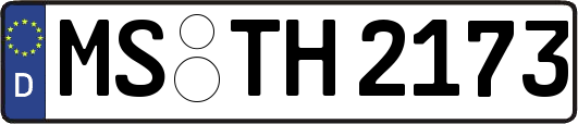 MS-TH2173