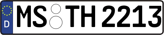 MS-TH2213