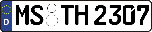 MS-TH2307