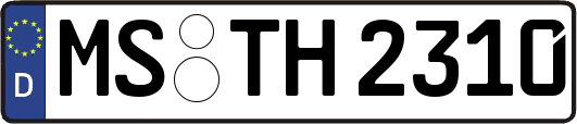 MS-TH2310