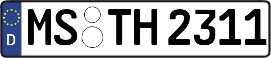 MS-TH2311