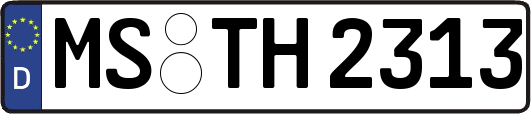 MS-TH2313