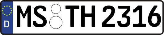 MS-TH2316
