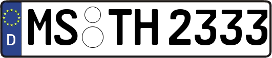 MS-TH2333